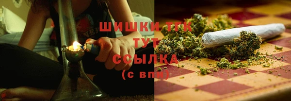 амф Богданович