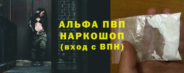 амф Богданович