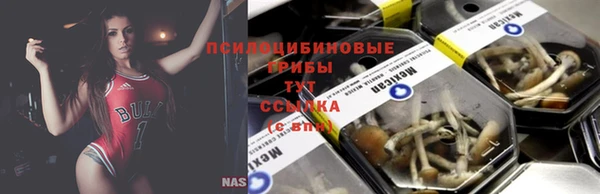 jwh Богородицк
