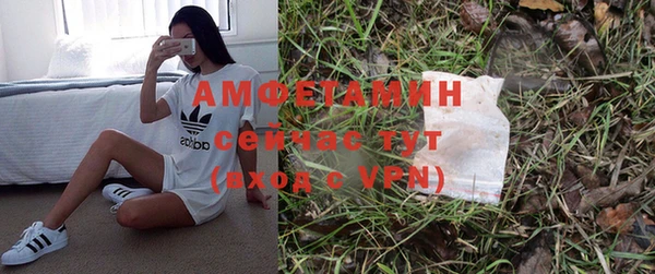 амф Богданович