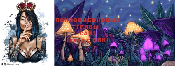 амф Богданович