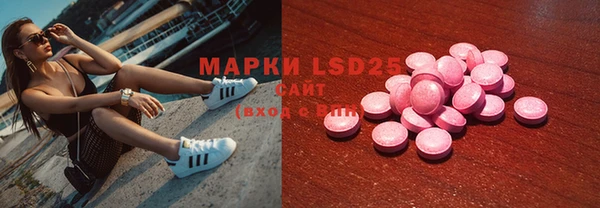 амф Богданович