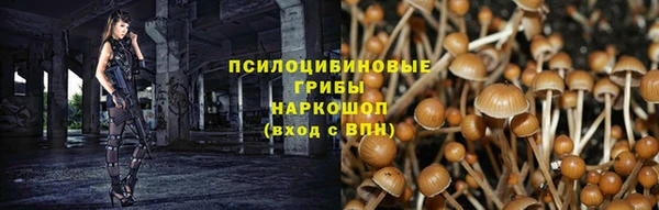 jwh Богородицк